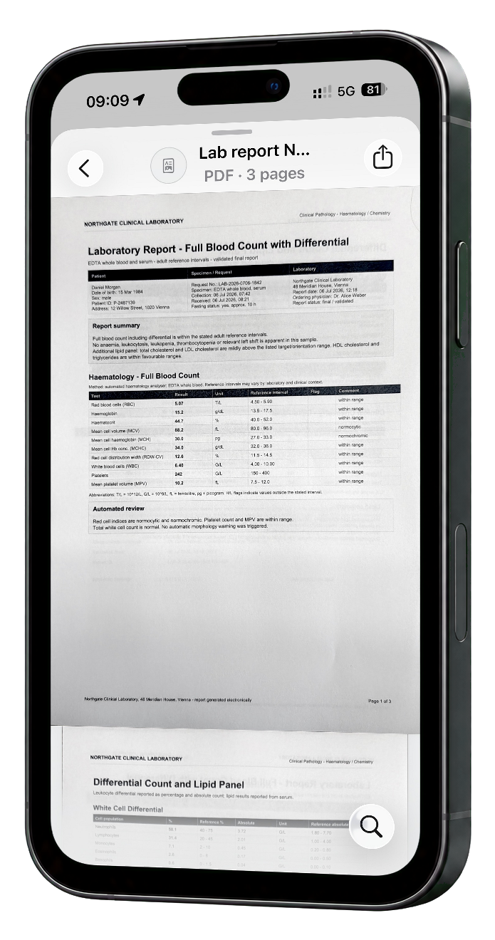 Visualizzazione corrente dell'app con spiegazione e documento originale collegato.